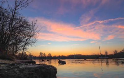 Embracing Tranquility: The Charms of Downsizing in St. Osyth, Essex